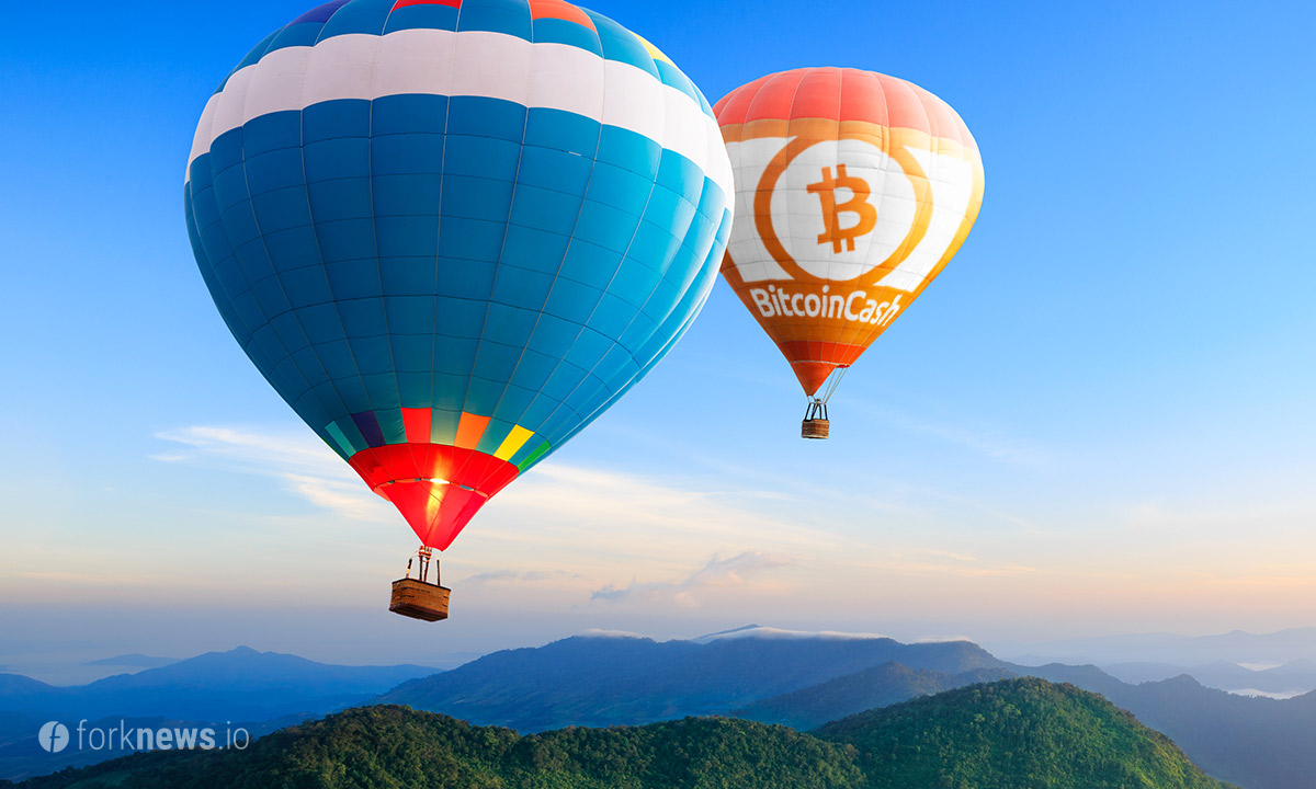 Bitcoin Cash лидирует на рынке по росту капитализации