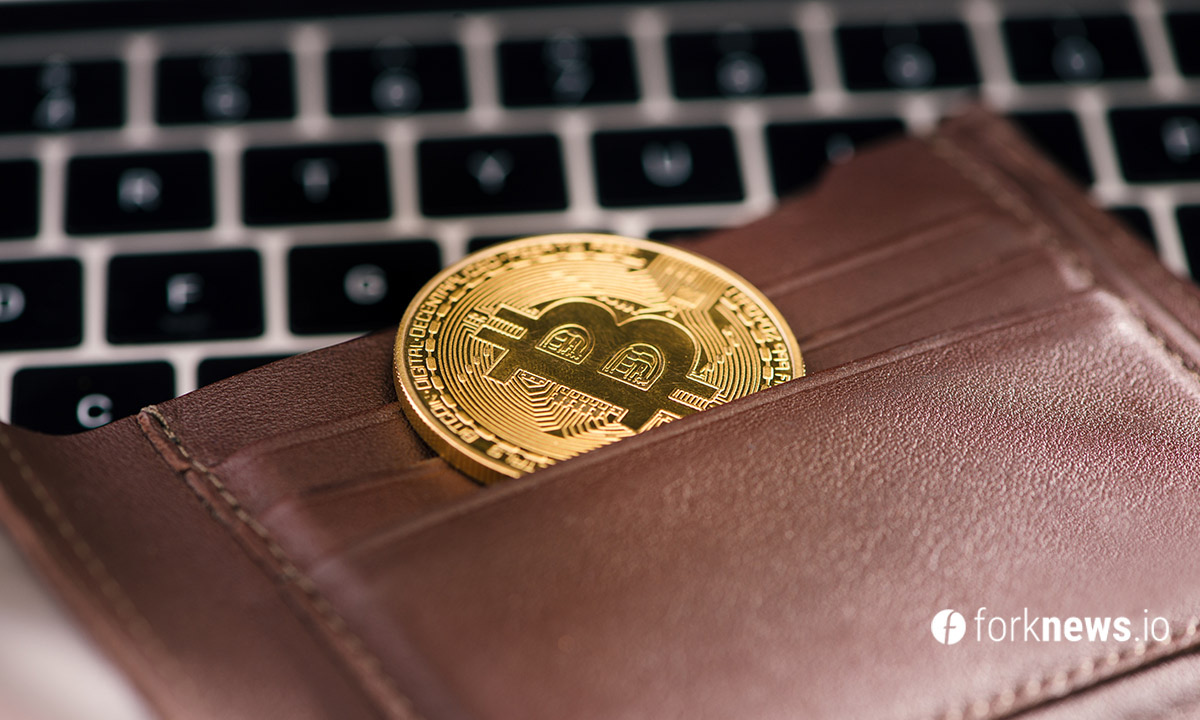 Количество BTC-кошельков с балансом более $10 млн достигло 4500 Количество BTC-кошельков с балансом более $10 млн достигло 4500