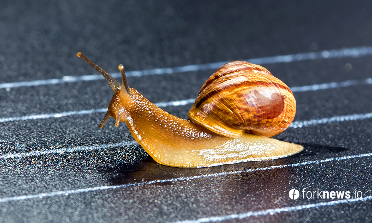 Роскомнадзор начал замедлять работу Twitter