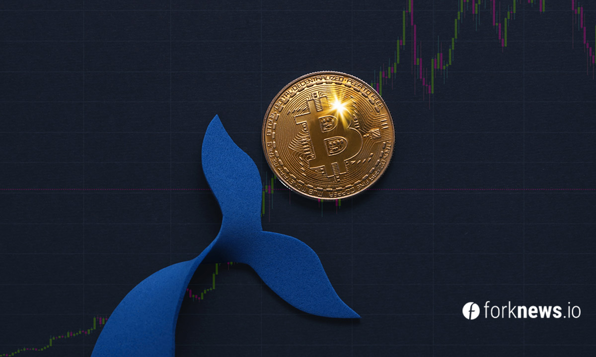 Santiment: Биткоин-киты скупили рекордное количество ВТС